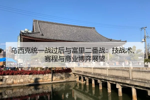 乌西克统一战过后与富里二番战：技战术、赛程与商业博弈展望