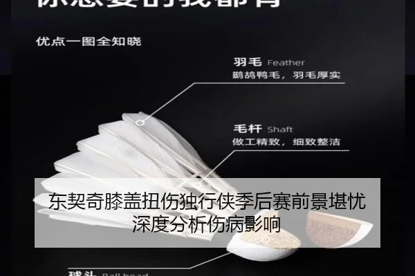 东契奇膝盖扭伤独行侠季后赛前景堪忧 深度分析伤病影响